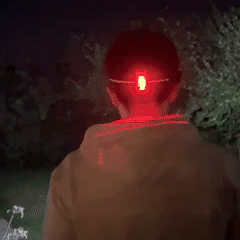 Clip-On Safety Light (1 Pair)